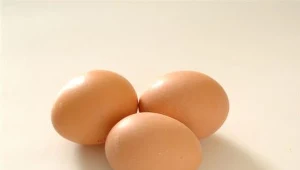 W Giżycku odbędzi się konurs na najtwardsze jajko.