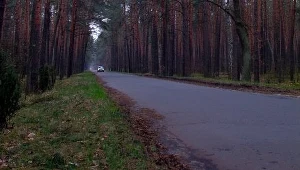 Ekstremalny marsz do korzeni