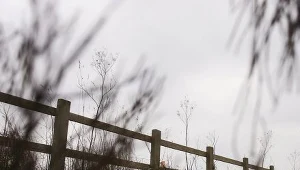 Za opieszałość dorosłych zapłaciła życiem