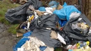 Leśnicy alarmują: Lasy toną w śmieciach