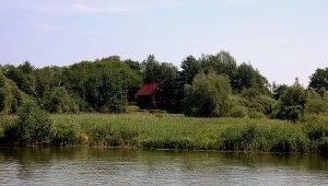 /fot. A. Szilagyi