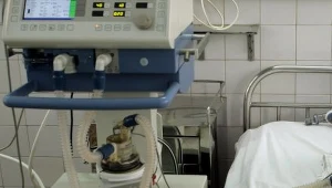 Poprawia się stan 10-latki pogryzionej przez psa