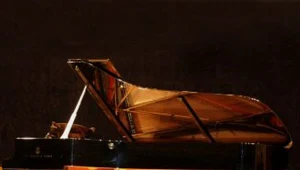 fot. M. Ulatowski