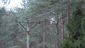 Lubelszczyzna bez prądu po nocnych burzach