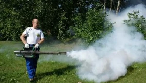 Można iść na działkę, komary wytrute