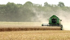 Podlaskie: Zginęli przy ładowaniu zboża