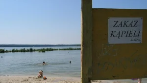 Sinice w dwóch jeziorach na Warmii