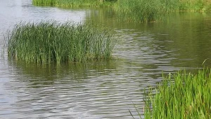 Traktorzysta wjechał do stawu w Suwałkach.