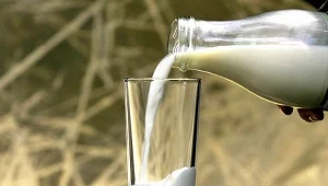 Bezpłatne mleko dla gorzowskich szkół