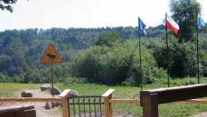 W województwie podlaskim prowadzona jest akcja pod hasłem "Jedź łośtrożnie".