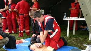 fot. B. Międzybrodzki