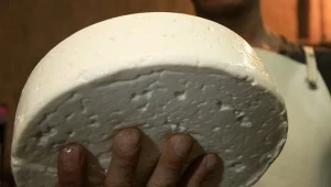 Weekend na biegunie zimna i sera