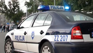 fot. T. Zieliński
