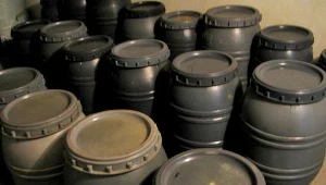 Tajemnicze znalezisko w lubuskim lesie