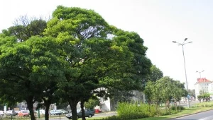 Rozmawiali o edukacji ekologicznej i ochronie środowiska