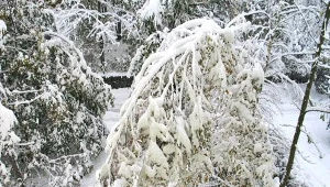 Takich strat nie było od 30 lat