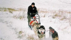 Jakub Słowik i jego psy w trakcie treningu.