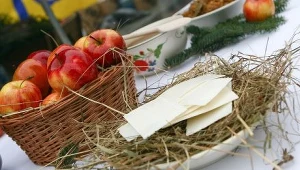 Spotkania Wigilijno-Noworoczne w Zielonej Górze