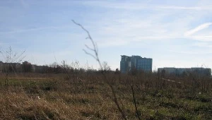 Gorzów: Miasto sprzeda działki