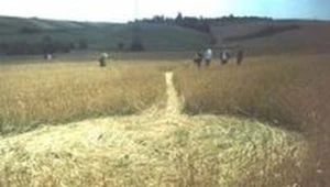 1 lipca 2000 roku w Kielanówce widziano świetlne kule nad polami/fot. A. Miazga