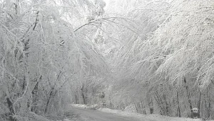 Z powodu niskich temperatur zajęcia odwołano w 18 szkołach/fot. Rafał Podsiadło