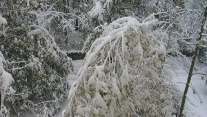 Zasypane szlaki w Bieszczadach