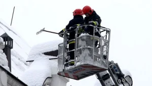 fot. Wojciech Traczyk