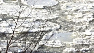 Łowił ryby - został uwięziony na krze