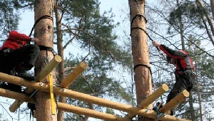 W parku powstały już pierwsze drewniane konstrukcje