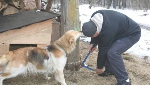Wolontariuszom udało się odebrać tylko 8 spośród 15 psów trzymanych przez rodzeństwo W.