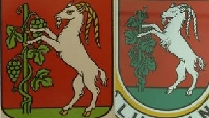 Problemy z herbem Lublina