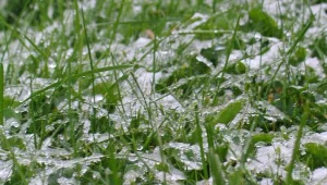 Na szczęście śnieg powinien szybko stopnieć