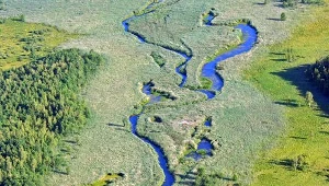 Wielkie sprzątanie przed sezonem
