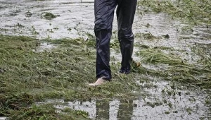 Wzrasta poziom wód na Lubelszczyźnie./fot. M. Kulczyński