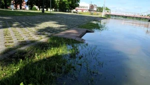 fot. Piotr Garczyński