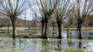 Rolnicy liczą straty po powodzi