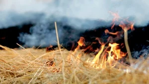 21-latek został oskarżony o dokonanie serii podpaleń w swojej wsi