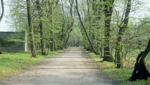 Do bójki doszło w parku