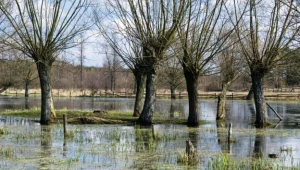 Dostali promesy na usuwanie skutków powodzi