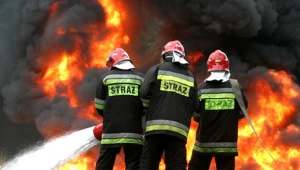 Z pożarem zboża w pobliżu wsi Pamięcin walczyło 11 zastępów straży pożarnej/fot. T. Zieliński