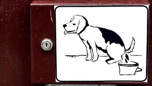 Mieszkańcy wiedzą, że muszą sprzątać po swoim psie, a jednak tego nie robią/fot. W. Traczyk