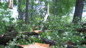 Strażacy z Podkarpacia walczą ze skutkami opadów