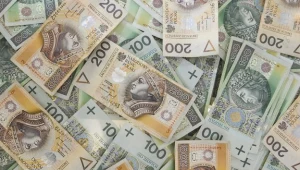 Kobieta oddała pieniądze właścicielowi