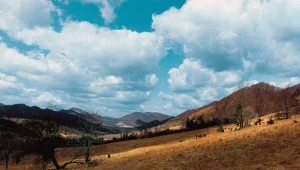 W Bieszczadach występuje niewielka inwersja powietrza
