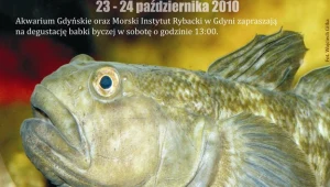 "Babka jest smaczna" w Gdyni