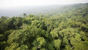 Akwarium Gdyńskie odkrywa tajemnice Amazonii