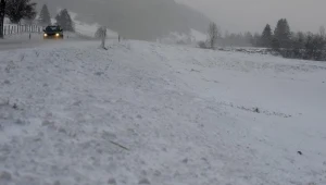 Lubuskie: Trasy krajowe czarne, pozostałe w większości białe