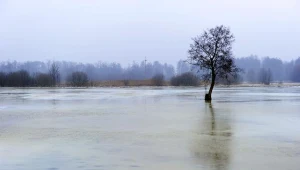  / fot. Wojciech Pacewicz