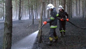 Zdaniem strażaków, pożarów jest mniej, ale przybywa akcji związanych z pogodą