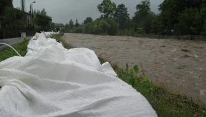 Ponad 7 mln zł na prace interwencyjne w Wilkowie